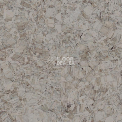 Линолеум Tarkett iq Megalit WARM GREY 0612 фото 1 | FLOORDEALER